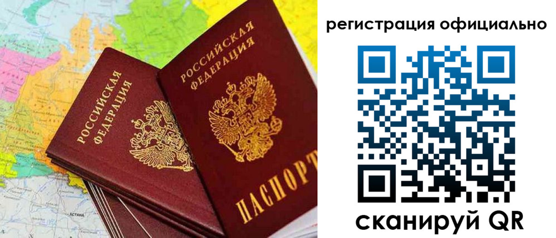 прописка поиск в Павловске